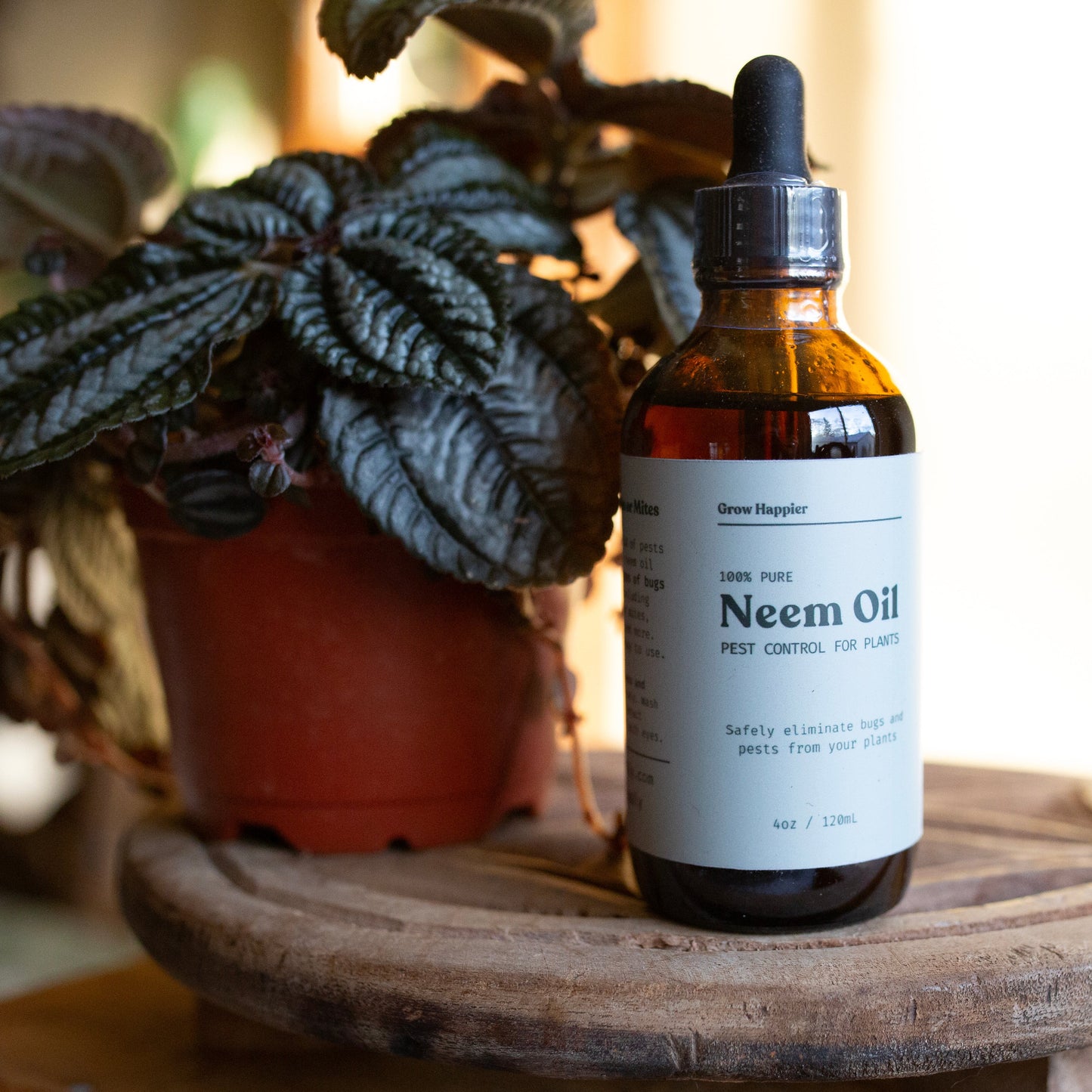 Amber bottle containing neem oil with mint blue label that reads "100% pure neem oil; pest control for plants. Safely eliminate bugs and pests from your plants".