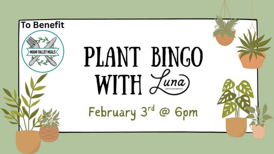 Plant Bingo @ Yellow Cab Tavern