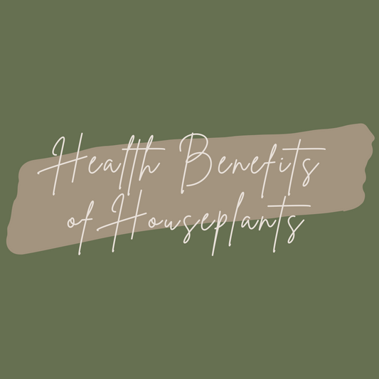 Title that reads 'Health Benefits of Houseplants' with a Green Background