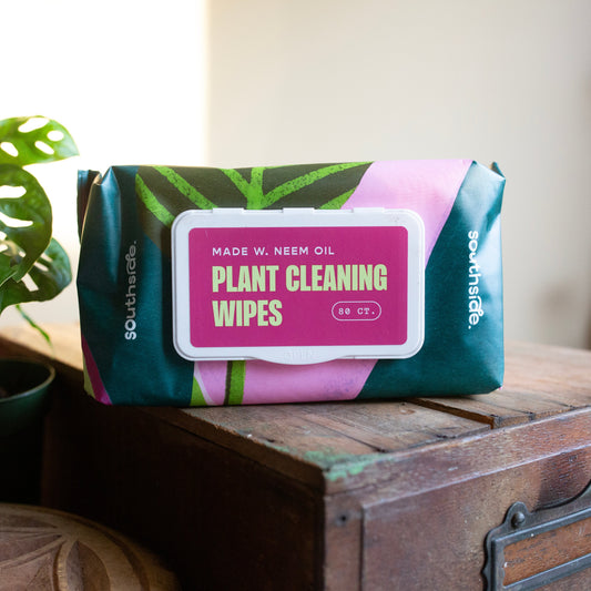 Plant cleaning wipes with bright packaging and abstract leaves