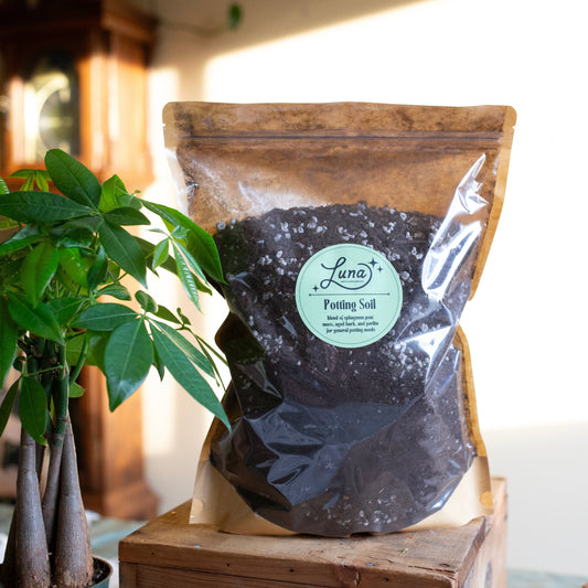 A bag of potting soil resting on a surface and posed next to a money tree plant