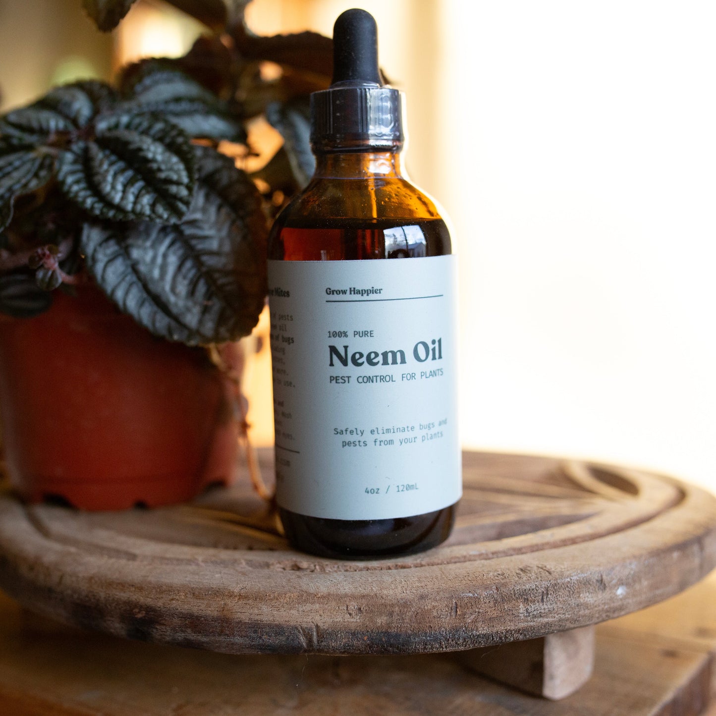 neem oil for indoor plant gnats Neem Oil Concentrate – Luna Gifts & Botanicals