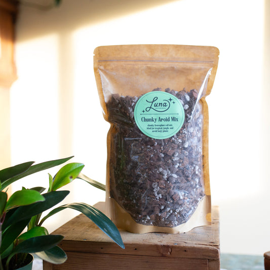 Bag of Luna Chunky Aroid Soil Mixture sitting on wooden surface with a peperomia in the foreground.