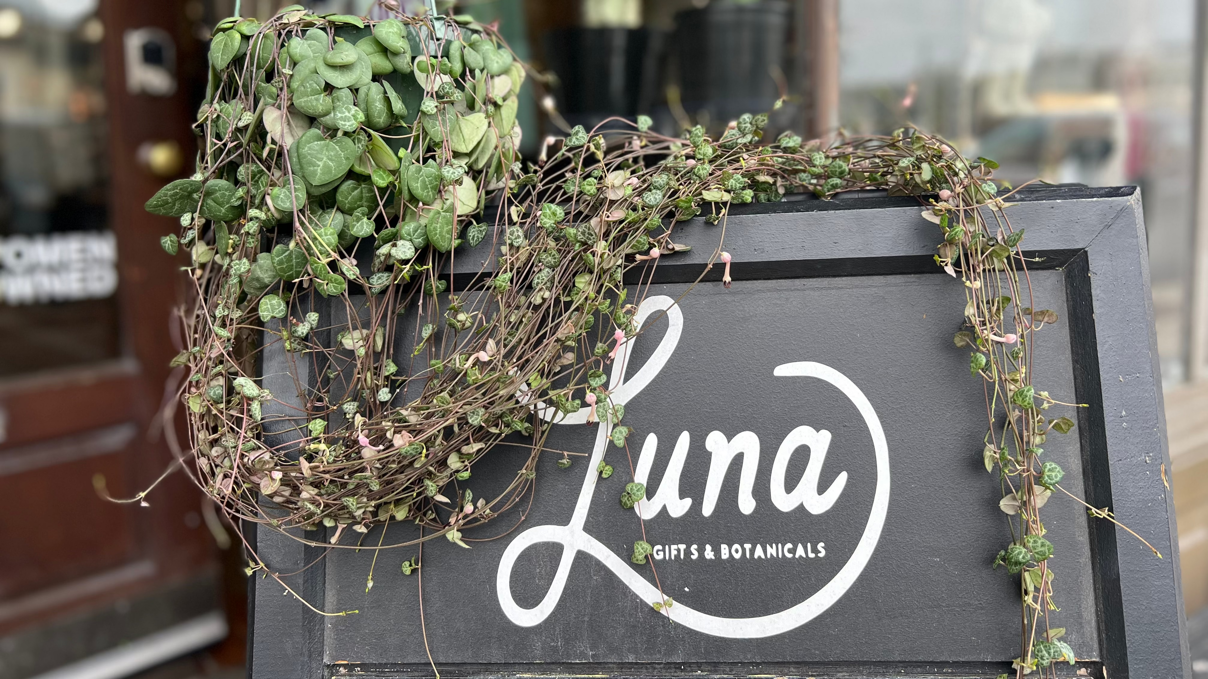 Hanging plant on a black sign with 'Luna Gifts & Botanicals' branding in front of a store entrance.