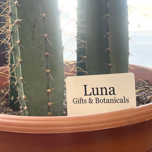 Luna Gifts & Botanicals Gift Card